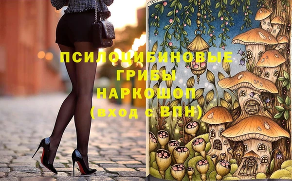 прущие грибы Краснотурьинск