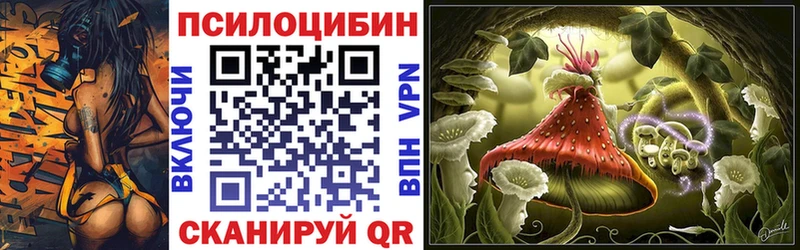 Псилоцибиновые грибы Psilocybe  Купить  Подольск 